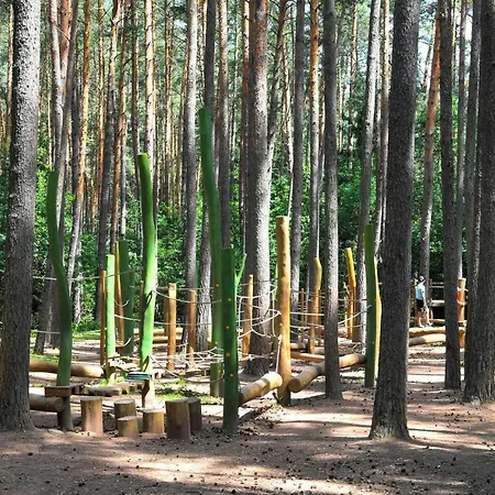 度假居 Tiny Haus 05 Am Brombachsee 普莱因费尔德